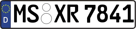 MS-XR7841