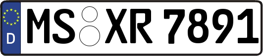 MS-XR7891