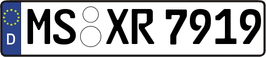 MS-XR7919