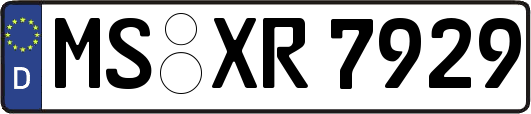 MS-XR7929