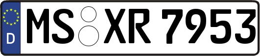 MS-XR7953