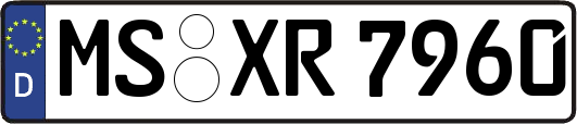 MS-XR7960