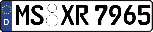 MS-XR7965
