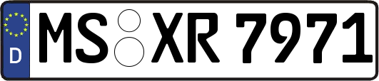 MS-XR7971