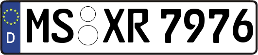 MS-XR7976