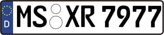 MS-XR7977