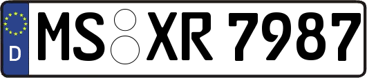 MS-XR7987