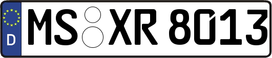 MS-XR8013