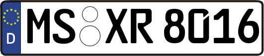 MS-XR8016
