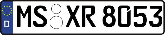 MS-XR8053