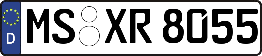 MS-XR8055