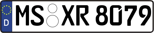 MS-XR8079