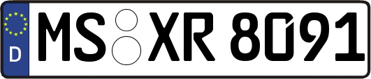 MS-XR8091