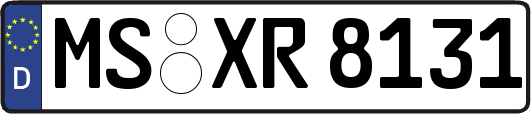 MS-XR8131