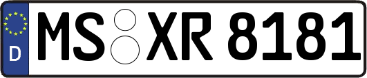 MS-XR8181