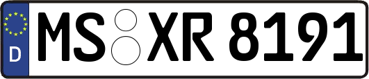 MS-XR8191