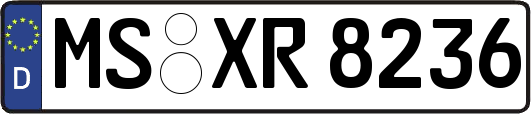 MS-XR8236
