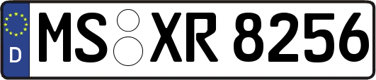 MS-XR8256