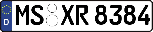 MS-XR8384