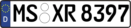 MS-XR8397