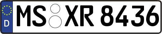 MS-XR8436