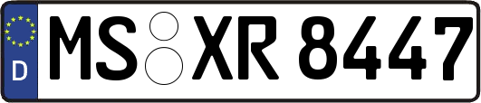 MS-XR8447