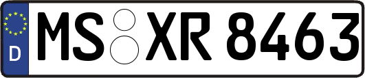 MS-XR8463