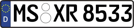 MS-XR8533