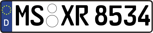 MS-XR8534