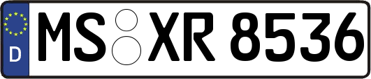 MS-XR8536