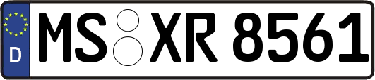 MS-XR8561