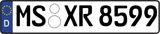 MS-XR8599