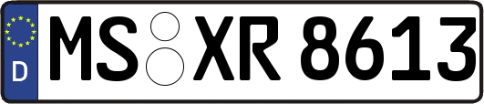 MS-XR8613