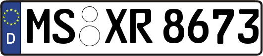 MS-XR8673