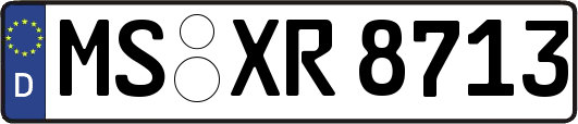 MS-XR8713