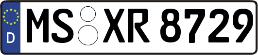 MS-XR8729