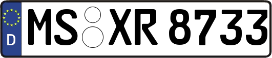MS-XR8733