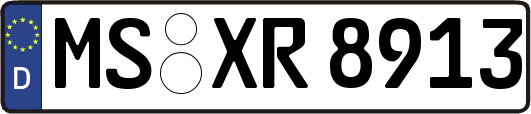 MS-XR8913