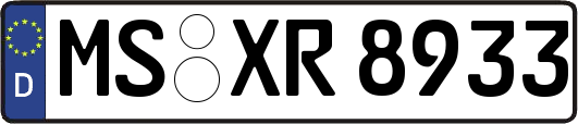 MS-XR8933
