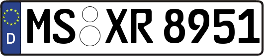 MS-XR8951