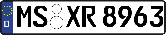 MS-XR8963