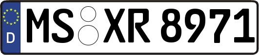 MS-XR8971