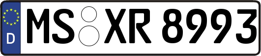 MS-XR8993