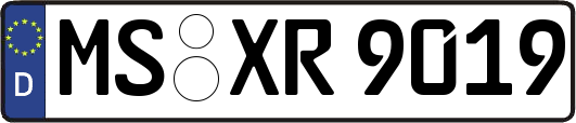 MS-XR9019