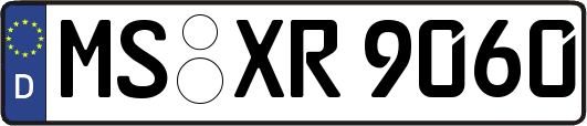 MS-XR9060