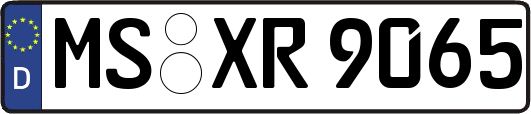 MS-XR9065