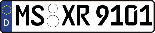 MS-XR9101