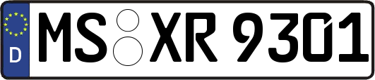 MS-XR9301