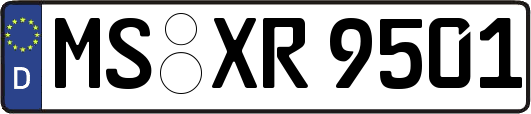 MS-XR9501