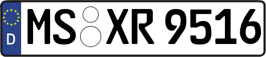 MS-XR9516